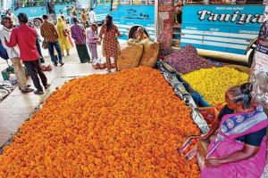 വിലയേറി പൂക്കൾ; കുറയാതെ ഓണാവേശം: വിപണിയിൽ പൂക്കാലം