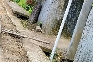 അധികൃതരുടെ ശ്രദ്ധയ്ക്ക്: പെരിങ്ങാടി–ഒളവിലം റോഡ് യാത്രക്കാരുടെ പേടിസ്വപ്നമാകുന്നു