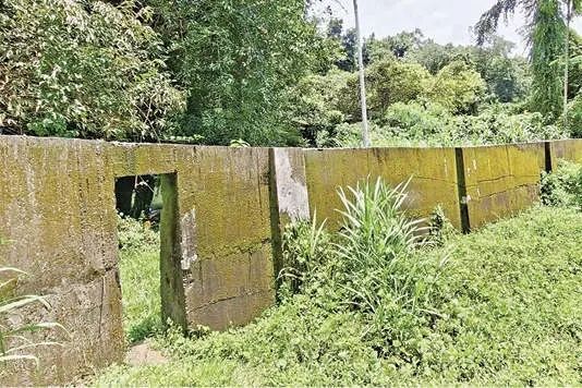 കൂത്താളി ജില്ലാ കൃഷിഫാമിൽ കാട്ടാന പ്രതിരോധ മതിൽ നിർമാണം പാതിവഴിയിൽ; പൂർത്തിയാക്കാൻ ഒരുകോടി വേണം