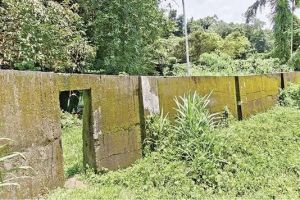 കൂത്താളി ജില്ലാ കൃഷിഫാമിൽ കാട്ടാന പ്രതിരോധ മതിൽ നിർമാണം പാതിവഴിയിൽ; പൂർത്തിയാക്കാൻ ഒരുകോടി വേണം