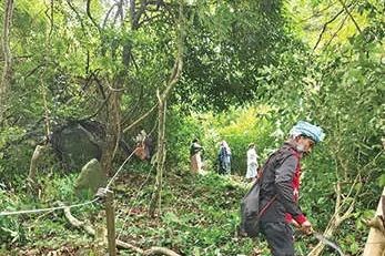 കുറ്റ്യാടി വനാതിർത്തിയിൽ വന്യമൃഗ പ്രതിരോധം അപര്യാപ്തം; ഭൂരിഭാഗം പ്രദേശങ്ങളിലും വൈദ്യുതവേലിയില്ല