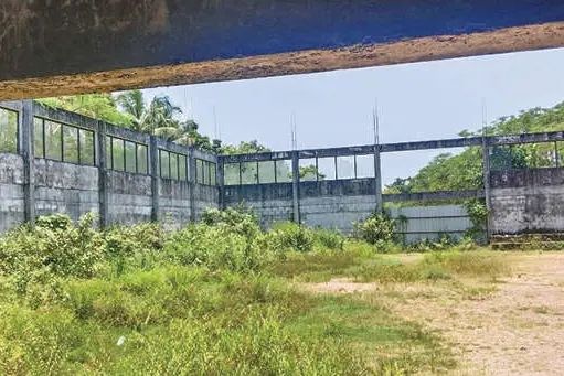 മടപ്പള്ളി കോളേജ് ഇൻഡോർ സ്റ്റേഡിയം നിർമാണം പാതിവഴിയിൽ; തുടർഫണ്ടില്ലാതെ പദ്ധതി കാടുമൂടുന്നു