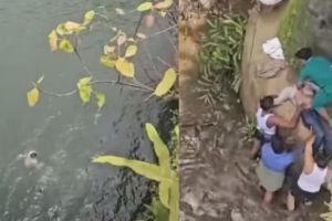 വടകര ചാനിയംകടവ് പുഴയിൽ ചാടിയ യുവാവ് മരിച്ചു