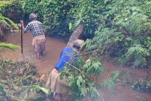 പട്ടിയാട്ട് അണ്ടർ ബ്രിഡ്‌ജിന്‌ സമീപം രണ്ടാംഘട്ട ശുചീകരണം ഇന്ന് സെപ്റ്റംബർ 6ന്