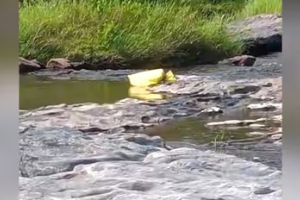 അട്ടപ്പാടി ഭവാനി പുഴയിൽ ചാക്കിൽ കെട്ടിയ നിലയിൽ ശരീരഭാഗങ്ങൾ കണ്ടെത്തി