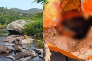 അട്ടപ്പാടിയിലെ ഇരട്ടക്കൊലപാതകം: ഭാര്യയെയും കുഞ്ഞിനെയും കൊന്നത് ഭർത്താവെന്ന് സൂചന; ഇതരസംസ്ഥാന തൊഴിലാളിക്കായി തിരച്ചിൽ