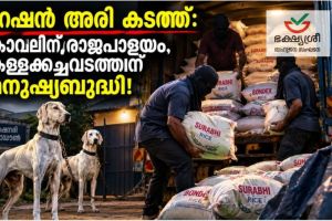 റേഷൻ അരി കടത്ത്: കാവലിന് രാജപാളയം, കള്ളക്കച്ചവടത്തിന് മനുഷ്യബുദ്ധി !