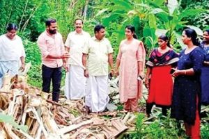 കൂരാച്ചുണ്ട് ഓട്ടപ്പാലത്ത് കാട്ടാനക്കൂട്ടമിറങ്ങി വ്യാപക കൃഷിനാശം