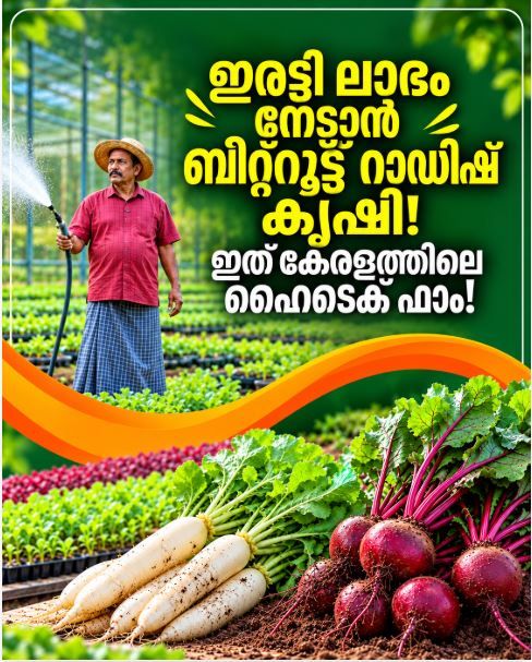കൃഷിയെ പ്രണയിക്കുന്നവർക്ക് ഈ കൃഷിയിടം മറക്കാനാകില്ല