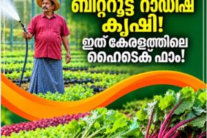 കൃഷിയെ പ്രണയിക്കുന്നവർക്ക് ഈ കൃഷിയിടം മറക്കാനാകില്ല