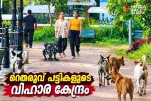 ടാഗോർഉദ്യാനം തെരുവ് പട്ടികളുടെ വിഹാര കേന്ദ്രമായി