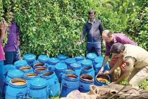 കിഴരിയൂരിൽ 1450 ലിറ്റർ വാഷ് കണ്ടെത്തി നശിപ്പിച്ചു