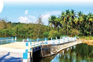 ഹരിതാഭയുണ്ടെങ്കിലും വികസനം അകലെ: വിനോദസഞ്ചാര പദ്ധതികൾ വഴിമുട്ടി മണിയൂർ