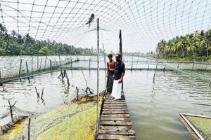 മലബാർ ടൂറിസം മാപ്പിൽ ഇടംനേടാനൊരുങ്ങി കുനിയിൽക്കടവ്; ഇടപെടലുമായി വി. ടി. സൂരജ് എം.എൽ.എ.