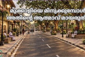 മുക്കാളിയുടെ നാളെയെ മനോഹരമാക്കാം ; പൊതുജന പങ്കാളിത്തത്തോടെ ; മുക്കാളിയെ മിനുക്കുമ്പോൾ… അതിന്റെ ആത്മാവ് മായരുത് !