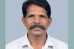 പച്ചമരുന്ന് ശേഖരിക്കുന്നതിനിടയിൽ കടന്നലുകൾ കൂട്ടമായി ആക്രമിച്ചു, വയോധികന് ജീവൻ നഷ്ടമായി