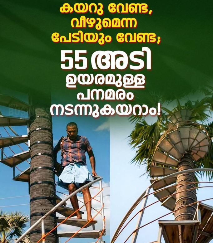 പനകയറ്റത്തിന് ഇനി ഭയക്കേണ്ട; 55 അടി ഉയരത്തിൽ സർപ്പിള ഗോവണിയുമായി യുവാവ്