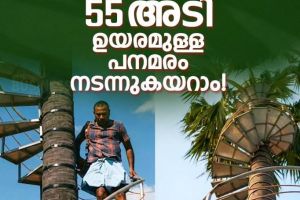 പനകയറ്റത്തിന് ഇനി ഭയക്കേണ്ട; 55 അടി ഉയരത്തിൽ സർപ്പിള ഗോവണിയുമായി യുവാവ്