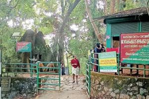 സൗകര്യങ്ങളില്ലാതെ ജാനകിക്കാട് ഇക്കോ ടൂറിസംകേന്ദ്രം: ഫീസ് കൂട്ടിയിട്ടും വികസനം കടലാസിൽ