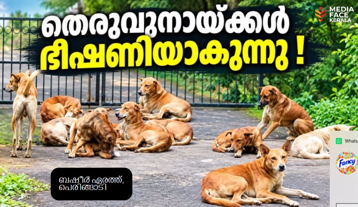 തെരുവുനായ്ക്കൾ ഭീഷണിയാകുന്നു; പൊതുജന സുരക്ഷ ഉറപ്പാക്കാൻ അടിയന്തര നടപടി വേണം