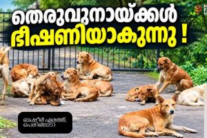 തെരുവുനായ്ക്കൾ ഭീഷണിയാകുന്നു; പൊതുജന സുരക്ഷ ഉറപ്പാക്കാൻ അടിയന്തര നടപടി വേണം