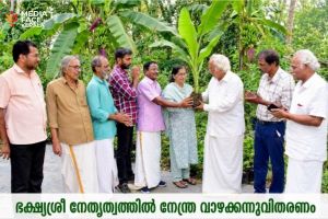 ഭക്ഷ്യശ്രീ ബഹുജന സംഘടനയുടെ നേതൃത്വത്തിൽ കല്ലാമല കോവ്ക്കൽ കടവിൽ നേന്ത്ര വാഴക്കന്നുവിതരണം