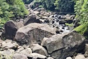 മഴക്കുറവ്: ഇരുവഴിഞ്ഞിപ്പുഴയിലെ ജലവൈദ്യുത പദ്ധതികളിൽ ഉത്പാദനം പ്രതിസന്ധിയിൽ; 25 ശതമാനം കുറവ്