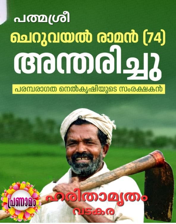 നെൽവിത്തുകളുടെ കാവലാൾക്ക് വിട; ചെറുവയൽ രാമന്റെ വേർപാട് കേരളത്തിന്റെ കാർഷിക പൈതൃകത്തിന് തീരാനഷ്ടം : ടി . ശ്രീനിവാസൻ