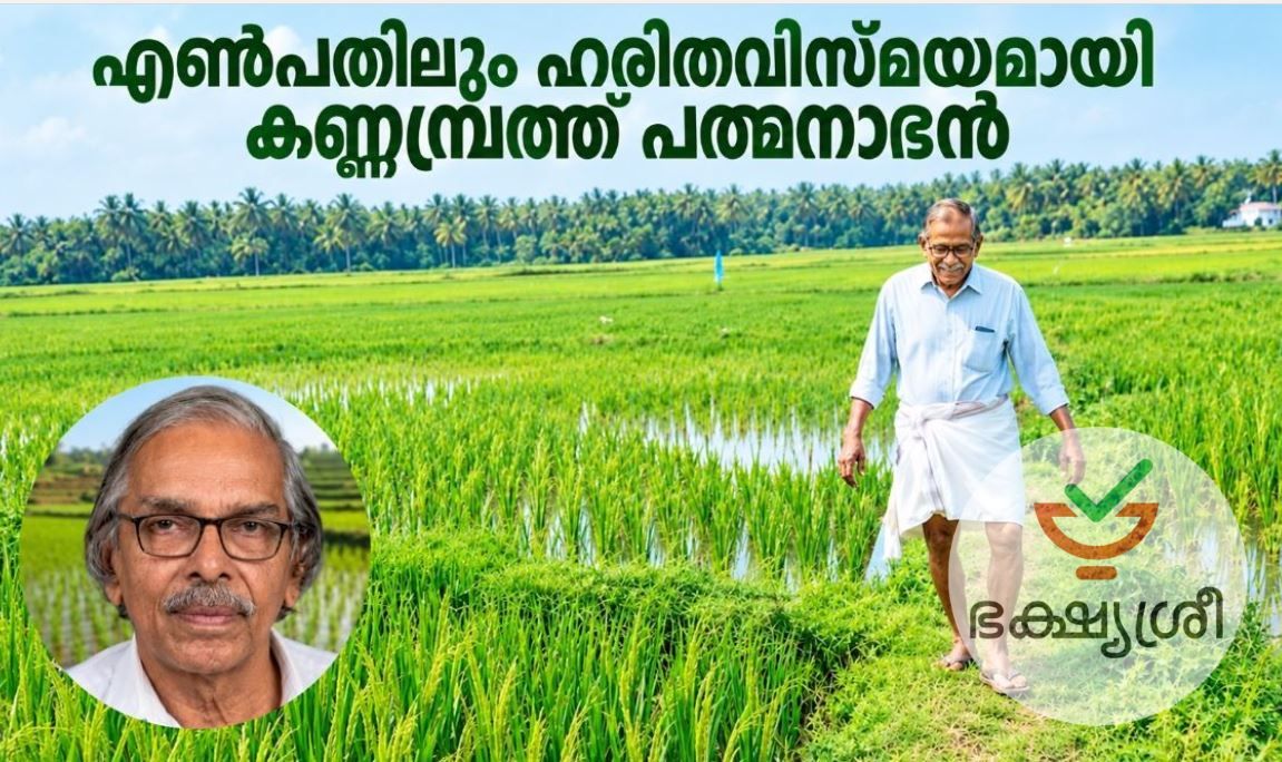 മണ്ണിലെ ‘അക്ഷയപാത്രം’; എൺപതിലും ഹരിതവിസ്മയമായി കണ്ണമ്പ്രത്ത് പത്മനാഭൻ