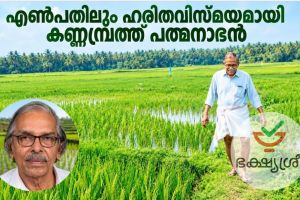മണ്ണിലെ ‘അക്ഷയപാത്രം’; എൺപതിലും ഹരിതവിസ്മയമായി കണ്ണമ്പ്രത്ത് പത്മനാഭൻ