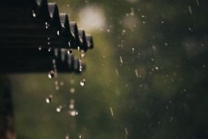 കനത്ത മഴ; കോഴിക്കോട്, വയനാട് ജില്ലകളിൽ നാളെ മദ്രസകൾക്കും ട്യൂഷൻ സെന്ററുകൾക്കും അവധി പ്രഖ്യാപിച്ചു