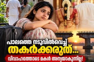 പാലത്തെ നടുവിൽവെച്ച് തകർക്കരുത്… വിവാഹത്തോടെ മകൾ അന്യയാകുന്നില്ല! ഹൃദയസ്പർശിയായ കുറിപ്പ് | ഡോ. എം. എസ്. സുനിൽ