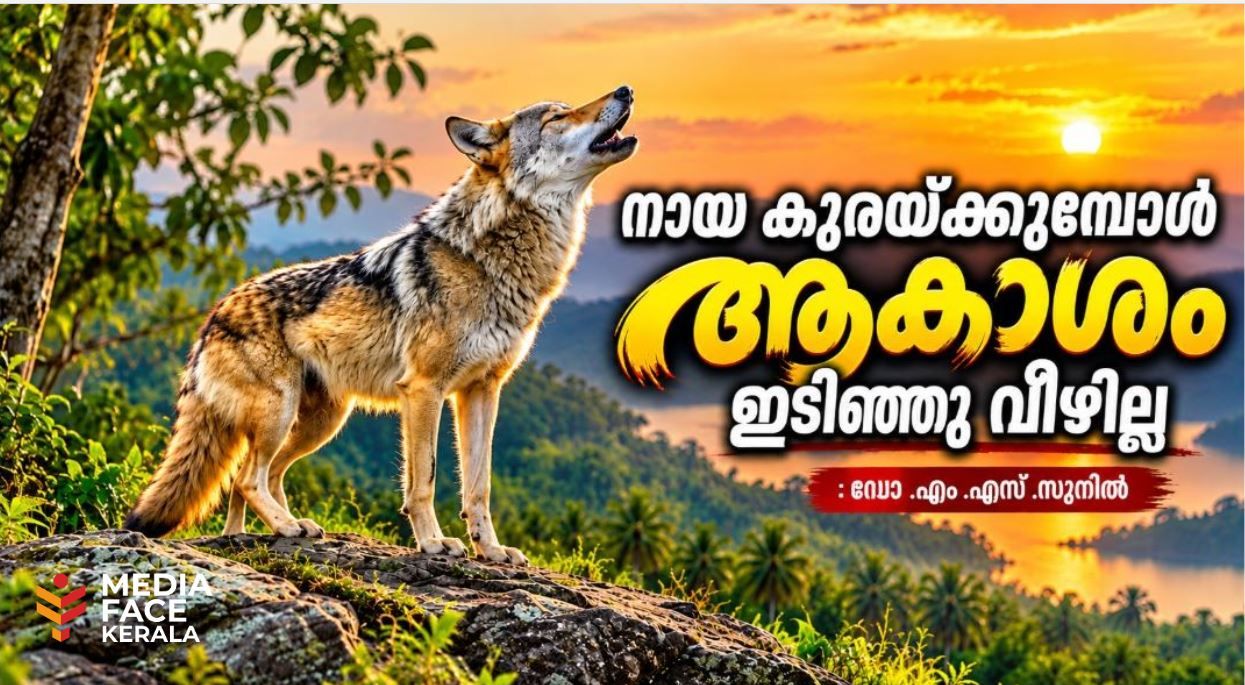 നായ കുരയ്ക്കുമ്പോൾ ആകാശം ഇടിഞ്ഞു വീഴില്ല : ഡോ .എം .എസ് .സുനിൽ