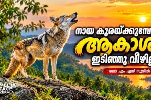 നായ കുരയ്ക്കുമ്പോൾ ആകാശം ഇടിഞ്ഞു വീഴില്ല : ഡോ .എം .എസ് .സുനിൽ