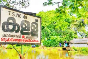 കള്ളുഷാപ്പുകളിൽ സ്ത്രീകൾക്കും ജോലി ചെയ്യാം; തൊഴിൽ വിലക്കിയ ചട്ടം ഭരണഘടനാ വിരുദ്ധമെന്ന് ഹൈക്കോടതി